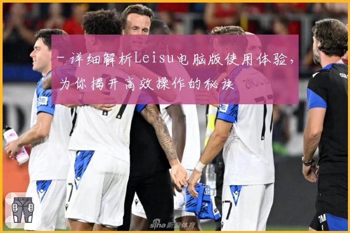 - 详细解析Leisu电脑版使用体验，为你揭开高效操作的秘诀