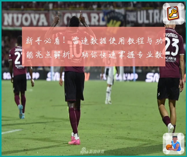 新手必看！雷速数据使用教程与功能亮点解析，助你快速掌握专业数据统计技巧