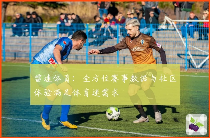 雷速体育:全方位赛事数据与社区体验满足体育迷需求